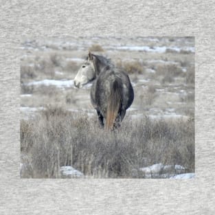 Wild horses, wildlife, gifts, Arizona, Misty Grey T-Shirt